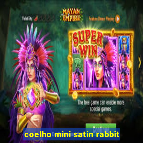 coelho mini satin rabbit